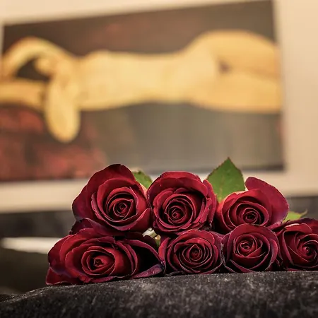 Ben Akiba Luxury アパート ベオグラード